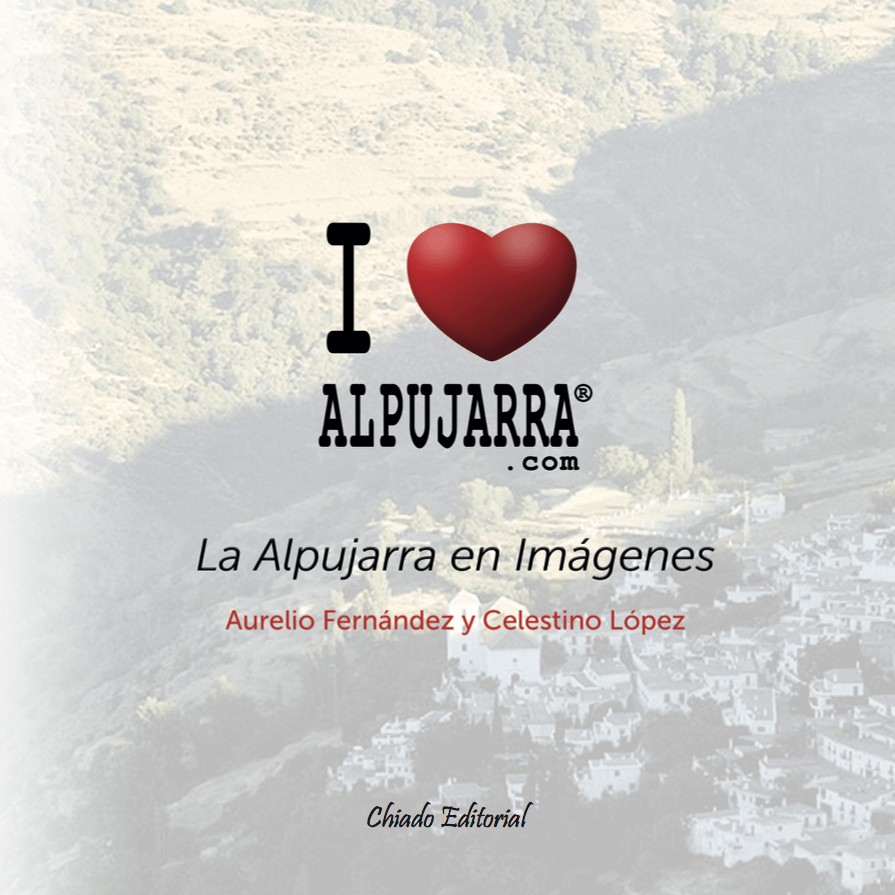 Puerta Nazari Proyecto I love Alpujarra